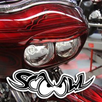 The SCOOWL™ Fairing Extension